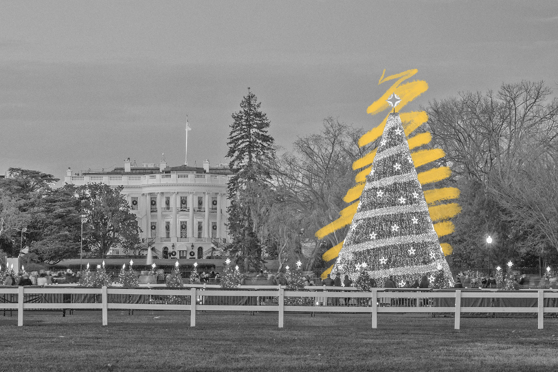 National Christmas Tree