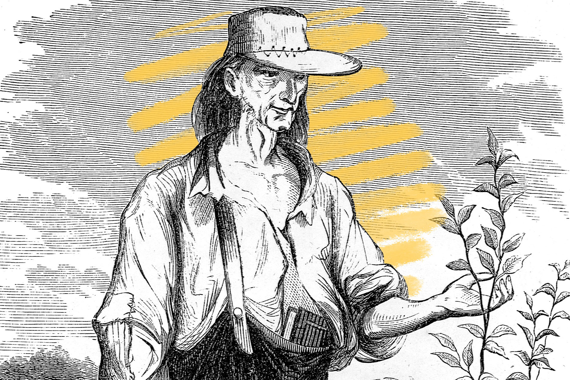 Drawing of Johnny Appleseed, 1862